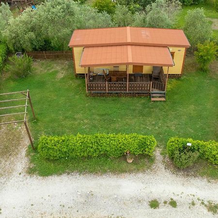 Agriturismo Nonna Stella Bibbona Kültér fotó
