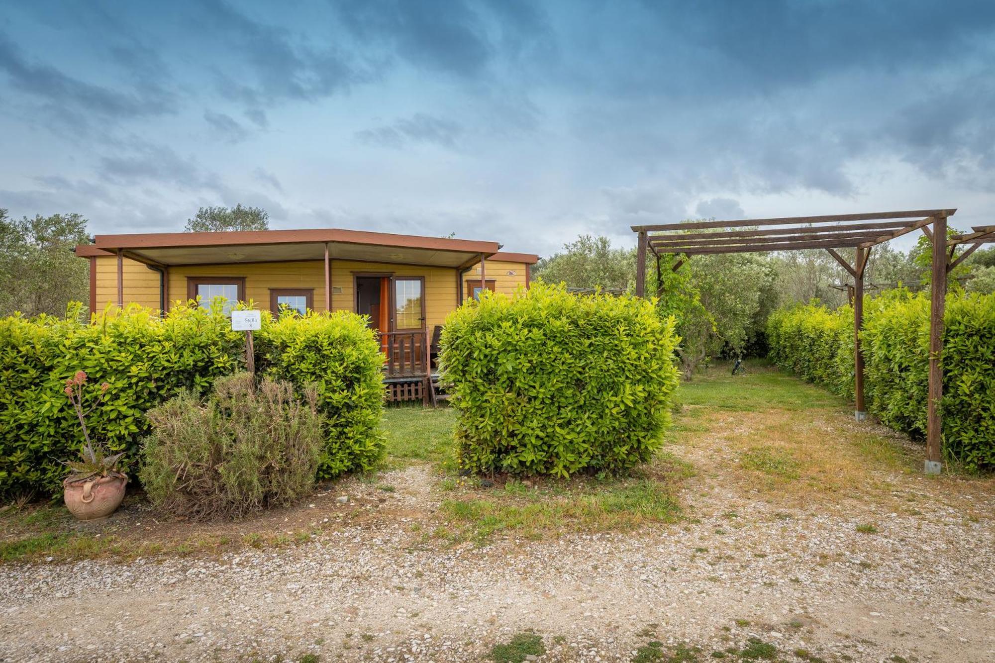 Agriturismo Nonna Stella Bibbona Kültér fotó
