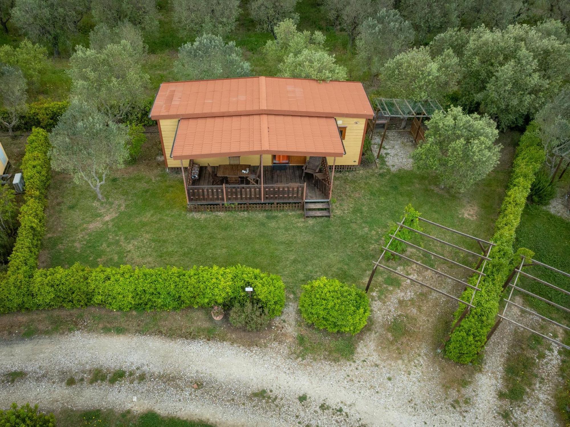Agriturismo Nonna Stella Bibbona Kültér fotó