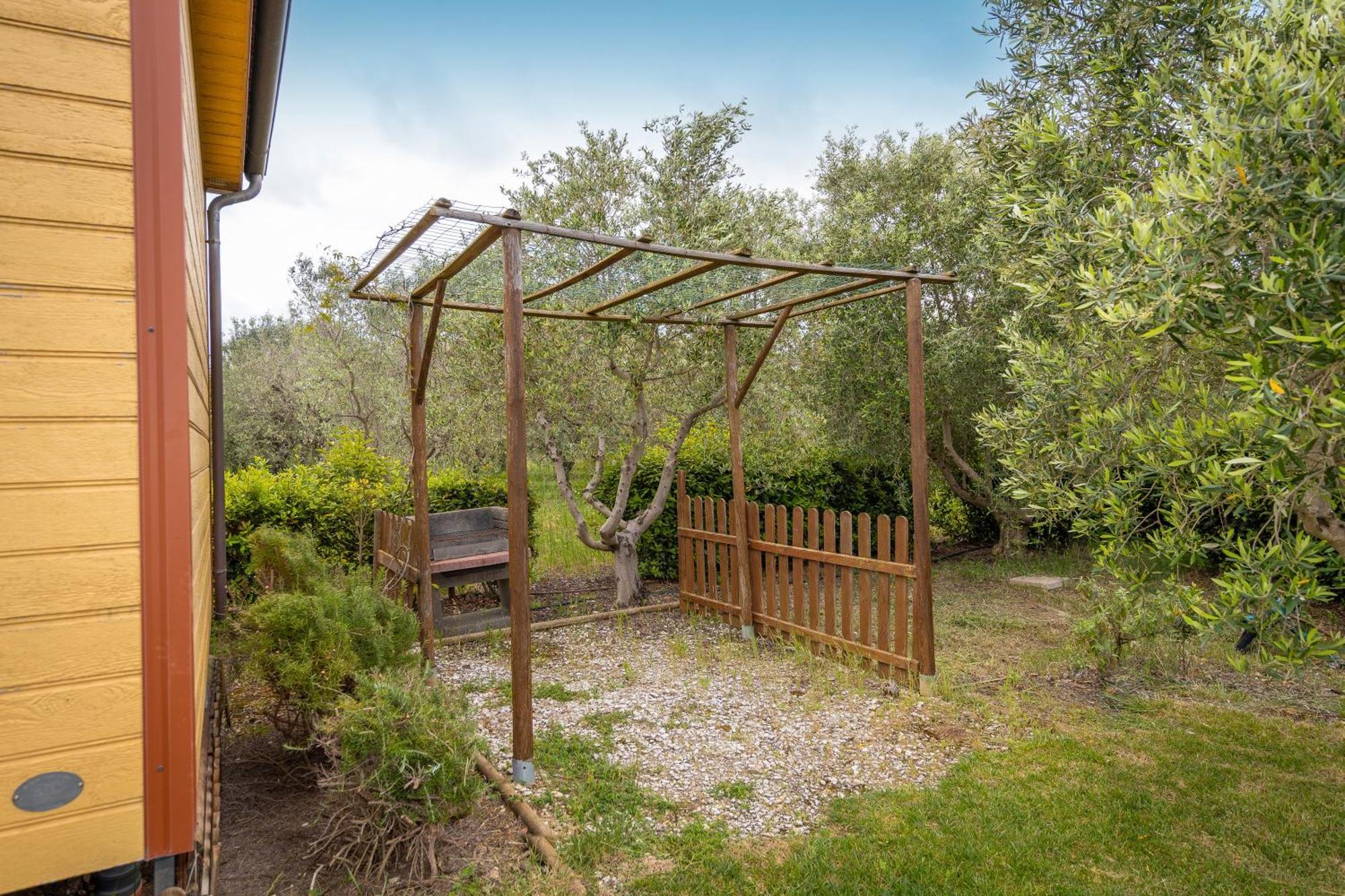 Agriturismo Nonna Stella Bibbona Kültér fotó